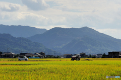 八代平野一景