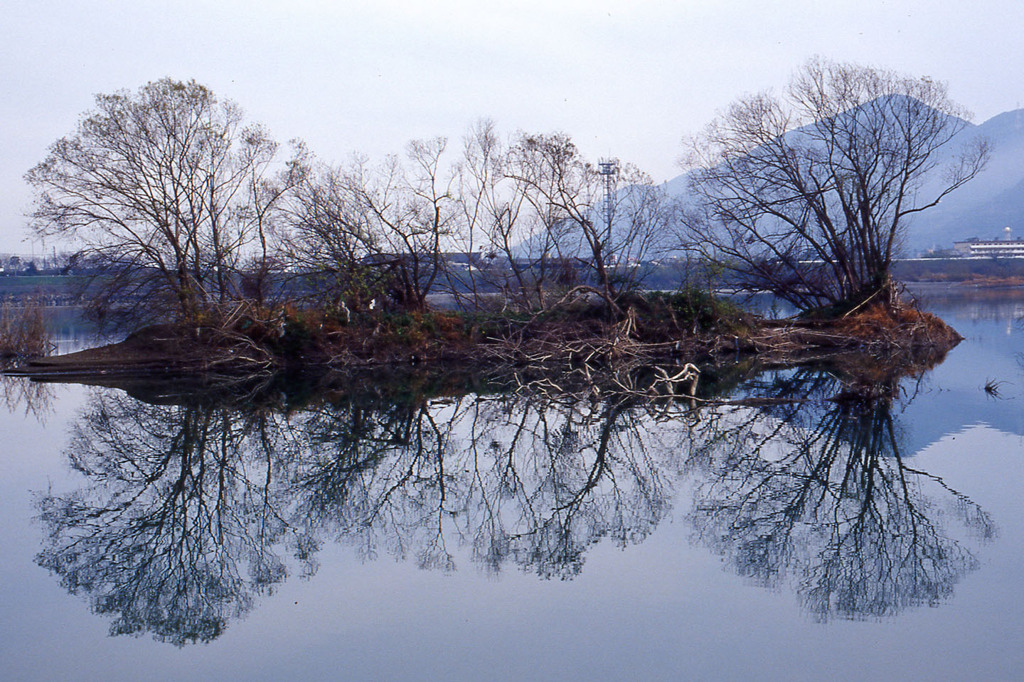 夕凪湖面のシンメトリー