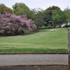 公園にて・・