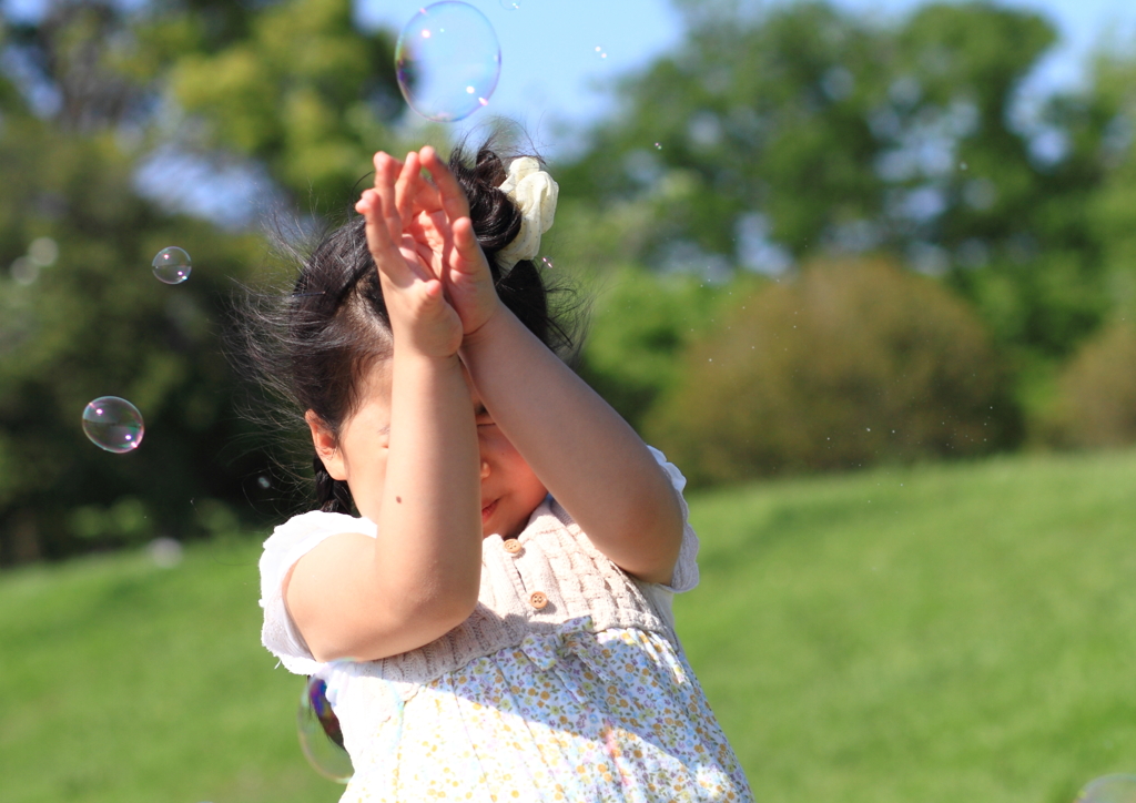 5月の風に