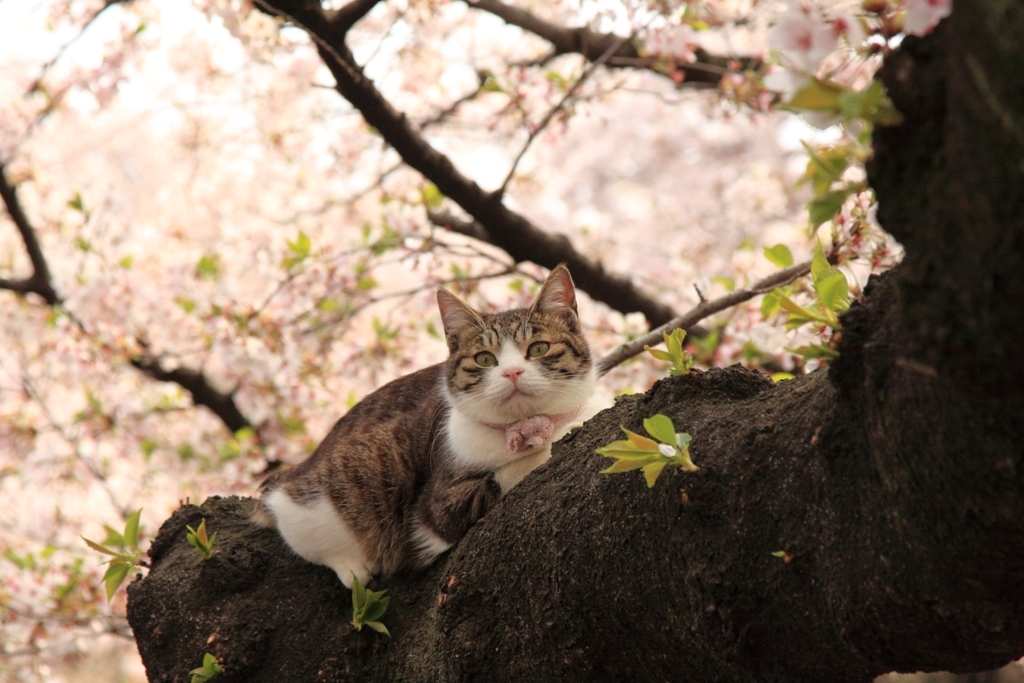 いい気持ち♪
