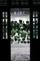 IMG_0270