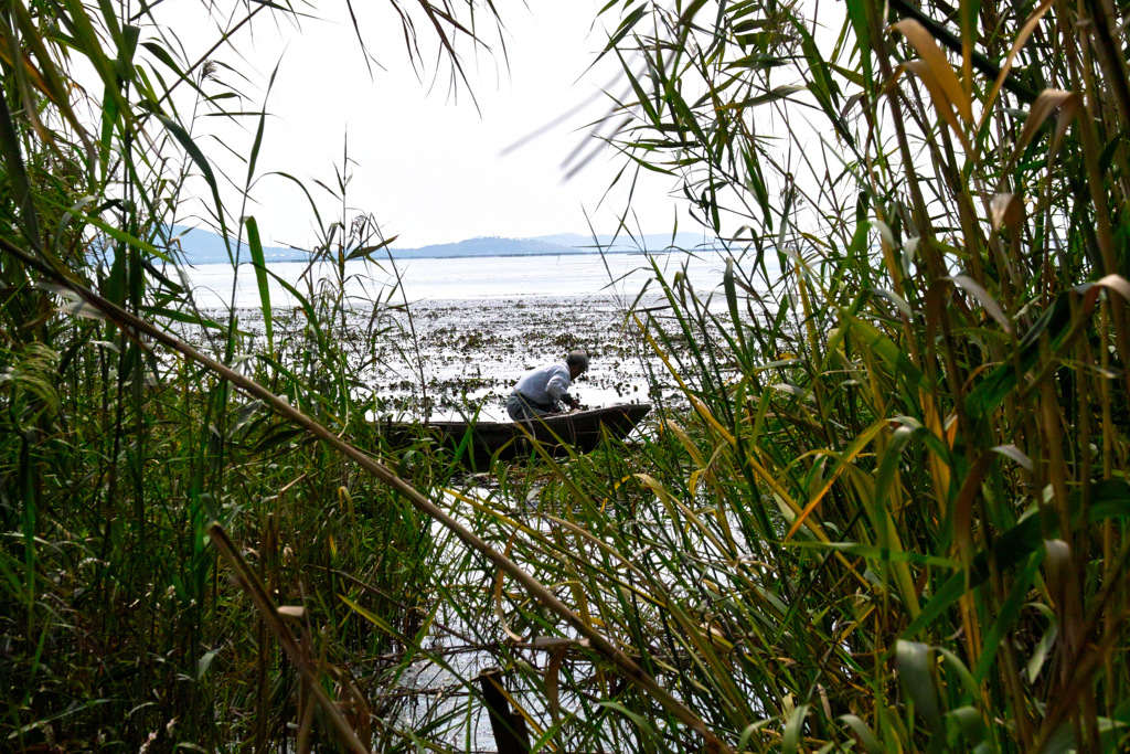 C5E36983-0ACC-4A08-93FD-CCC8FDB262EF