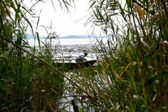 C5E36983-0ACC-4A08-93FD-CCC8FDB262EF