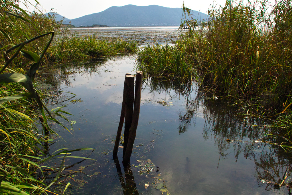 241506AF-9899-490E-8BCE-F5C85BC3E5C5