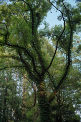 9607E438-ECA7-4A6B-95C1-EFB2F7FCFCF3