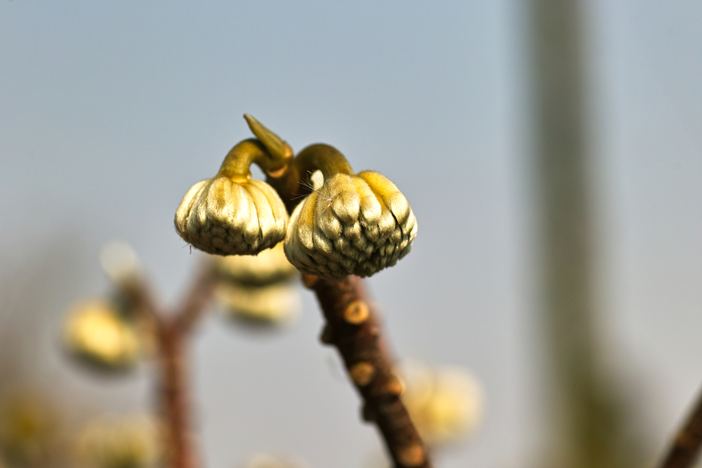 8D39C236-E89C-4A06-96D2-D51C4A017457