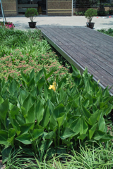 DB941C75-D132-4B80-9C79-21E5B1C7E420