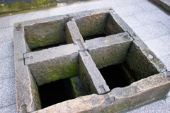 B5419657-F4F0-4A01-A7D7-F9AA3EC99D52