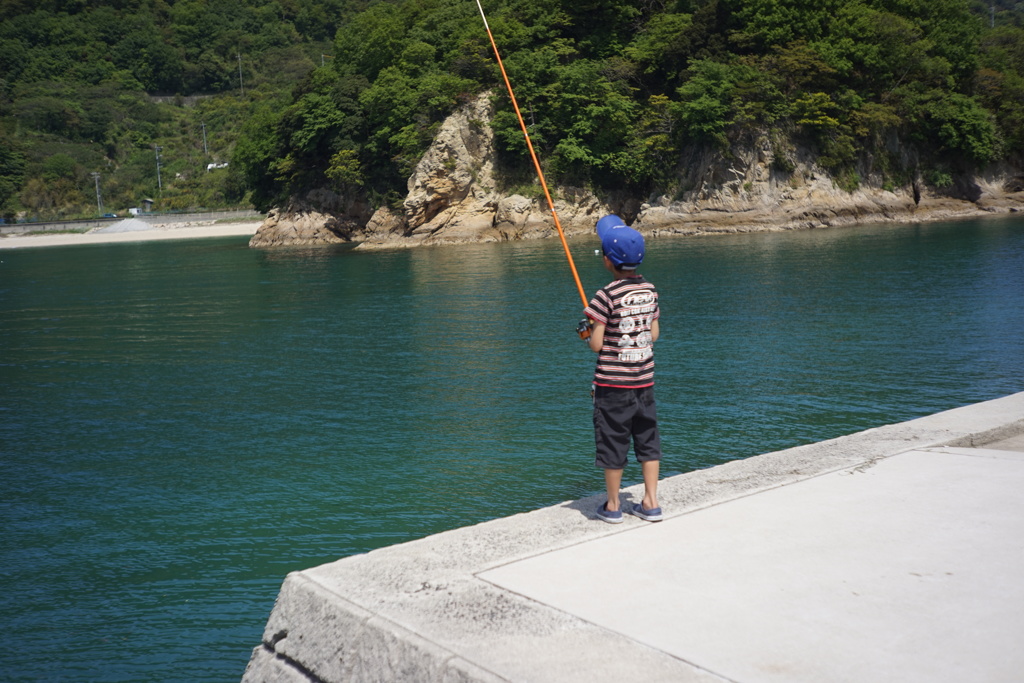 NIKKOR - H • C 1:2 f=5cm