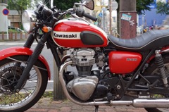 W1SP