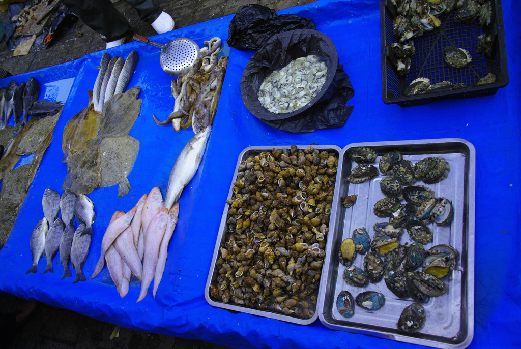 1111D9EF-2D58-4DEE-9096-7980E16BF4ED