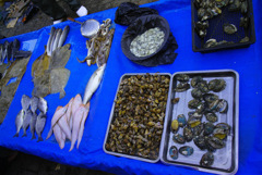 1111D9EF-2D58-4DEE-9096-7980E16BF4ED