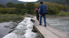 2938DFBA-BCFA-4313-8248-79EB5B5B14D4