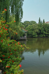 578CD768-CC78-4C4C-9635-D1AE3E9AE2E7