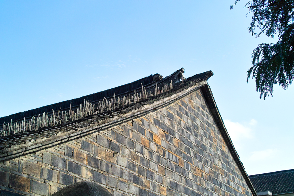 B948D840-309B-4B73-88DC-7C3B34A60C54