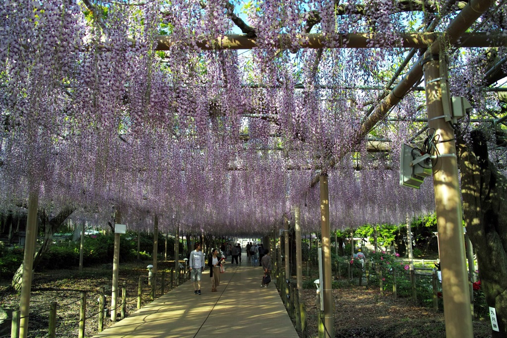 曼陀羅寺