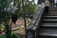 83AC9B89-C8E8-4BEC-844B-583A35B07AE0