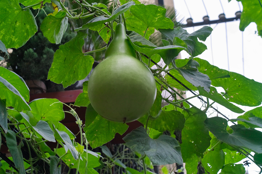 7C971985-80C6-451E-9E14-F0C870D5073B