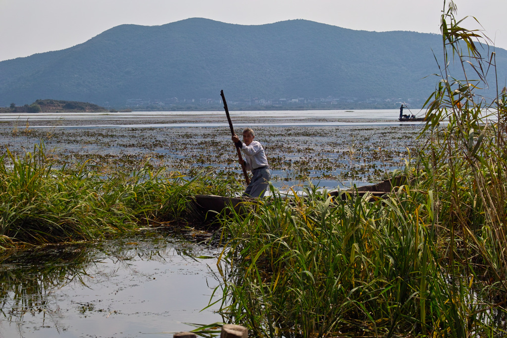 FF263753-E814-431D-9891-034E147E8F76