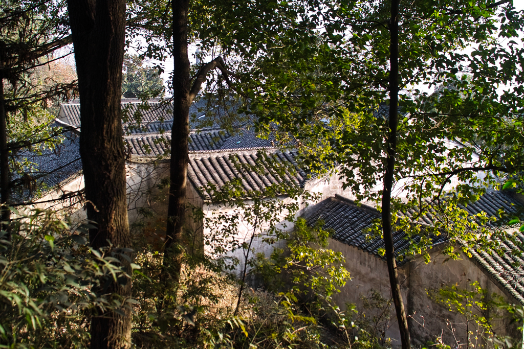 434F749B-ECBC-4D36-874B-B4ED8A1C22B2