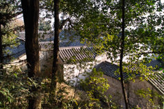 434F749B-ECBC-4D36-874B-B4ED8A1C22B2