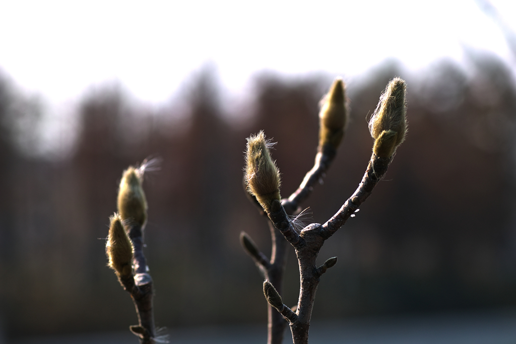 7E2D23BF-857C-4C32-8955-1EFE14B8F8AC