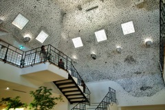 ラコリーナたねやclub harie