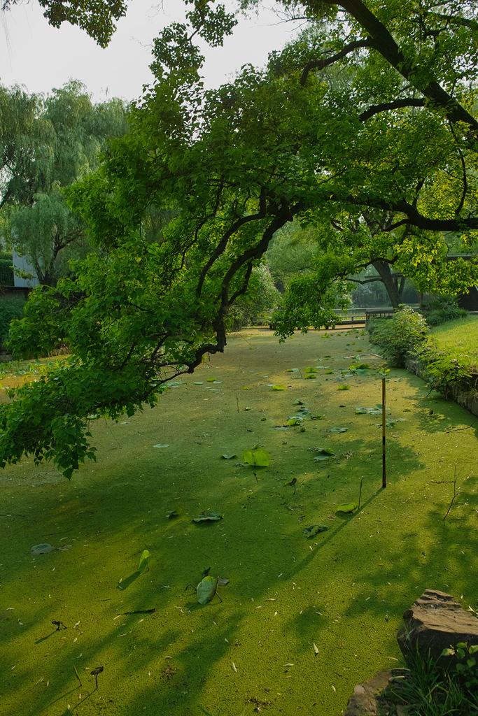 927BF34C-A34B-4160-B614-E8D1EC8CE8F3