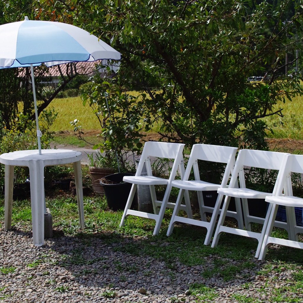 畑とベンチ赤トンボが多い