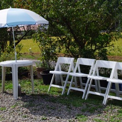 畑とベンチ赤トンボが多い