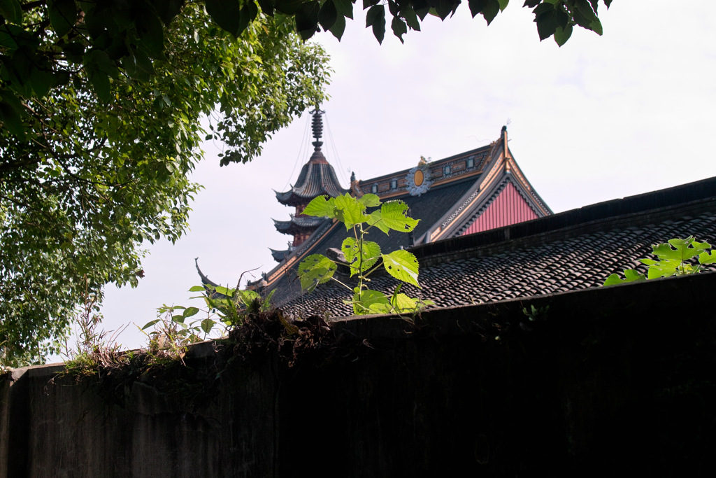 526D5397-7A3F-44B9-A4CF-EEF74202F08D