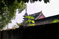526D5397-7A3F-44B9-A4CF-EEF74202F08D