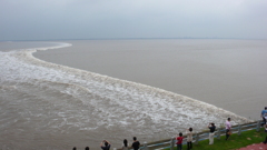 6BABD7BB-6EA9-4EA5-96A9-88897C81E4DA