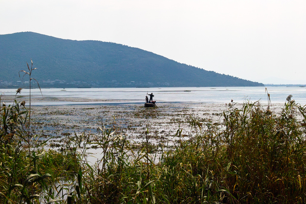 528A304A-6DC8-42C5-8FBF-4AA6BB7C6654