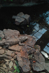 2DB3CCAB-10C5-4A42-9670-6ED1C35A099C