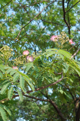 330921CE-1DF1-408D-876F-E91B639ACF38