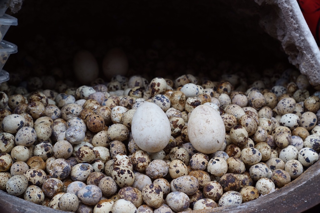 293B0578-789A-4ECC-8E8D-4361001A059C