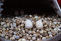 293B0578-789A-4ECC-8E8D-4361001A059C