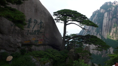 CC67505F-CCFB-4BB8-B464-D0A3605C1640