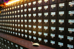 89ACDE71-5705-4C73-8023-D6E74A0D09B1