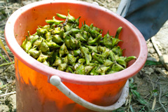 2D928604-0C8F-41B2-B25B-CCD228AD7A3C