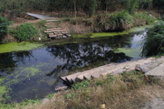 B68B2518-219F-442A-8EFC-78E7A0B05CF2