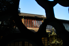 C7A7B5FA-A98A-4D85-83D2-DD1E5BD23C83