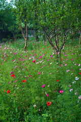 5FFB8EA4-5990-448B-ACA1-425BE6108D0C