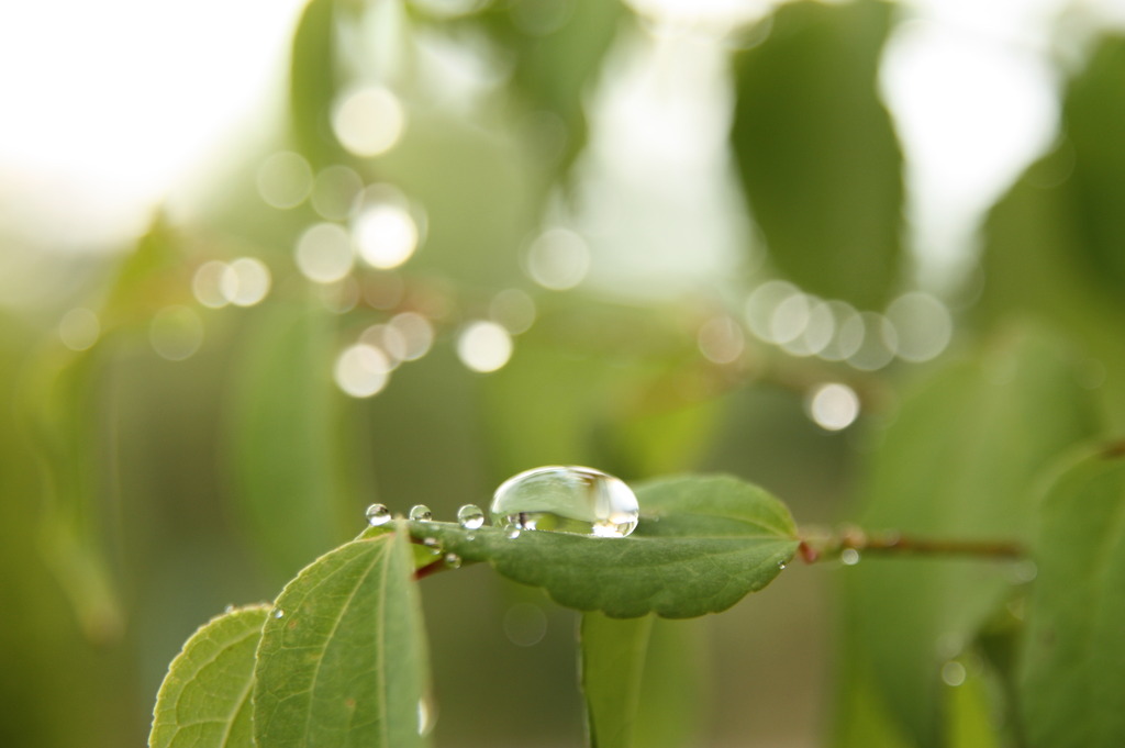 雨上がり。。。