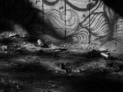 place in the light