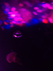 swim across a sparkle