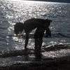 SearchRight