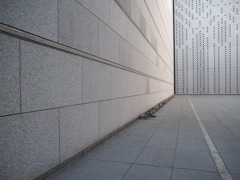 3D
